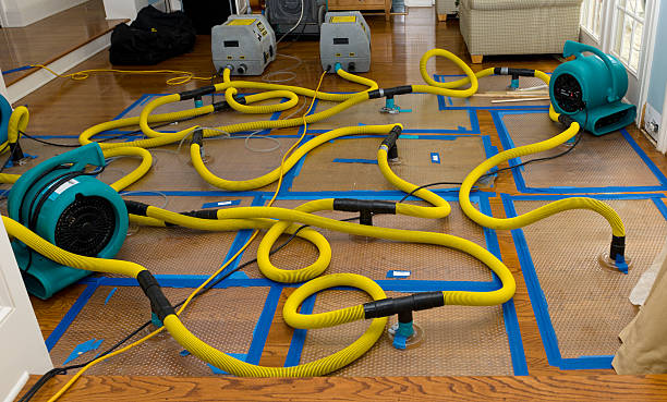 Professional Structural Drying And Dehumidification technician working in Homerville, OH